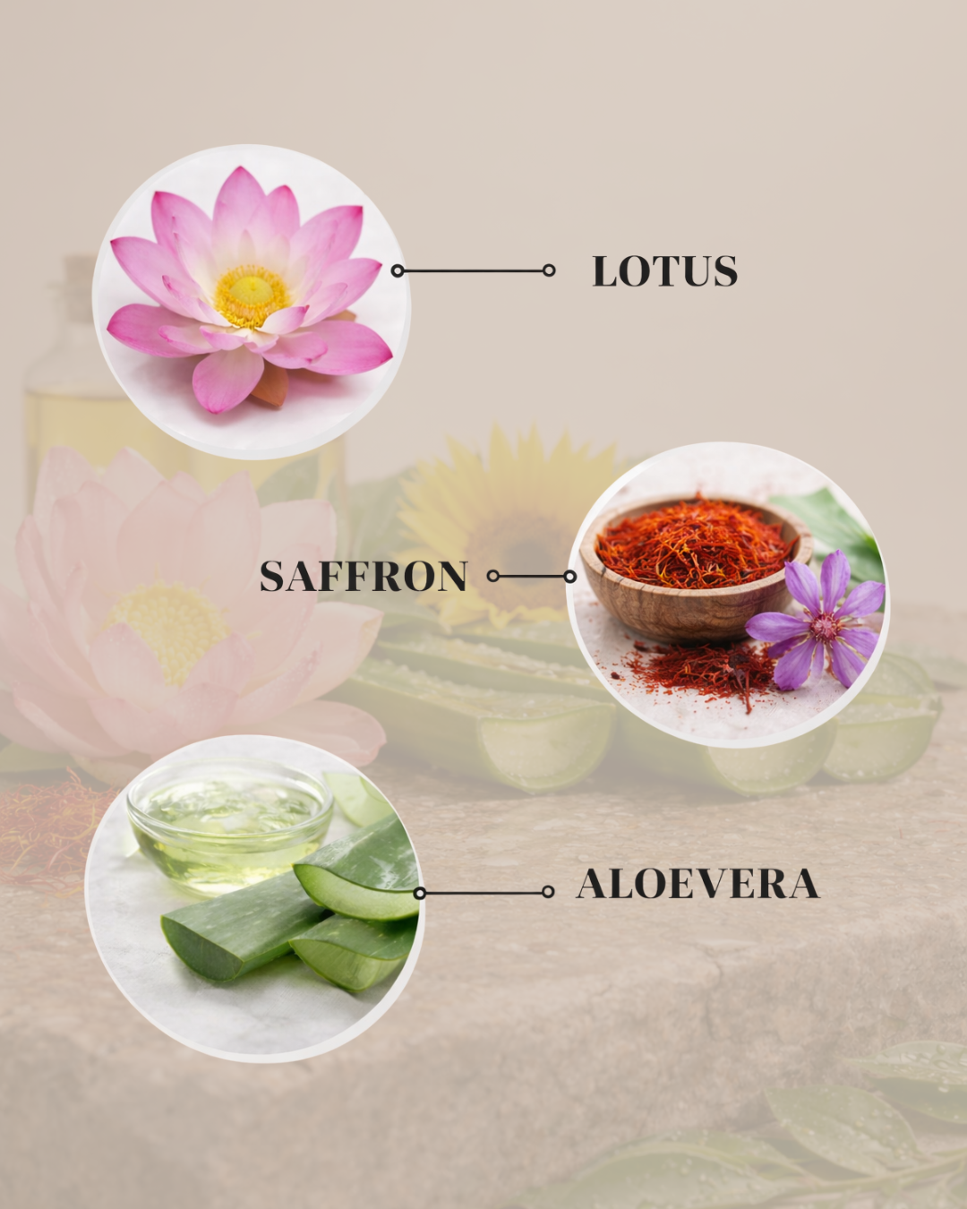 Lotus Saffron Rasa Moisture Cream