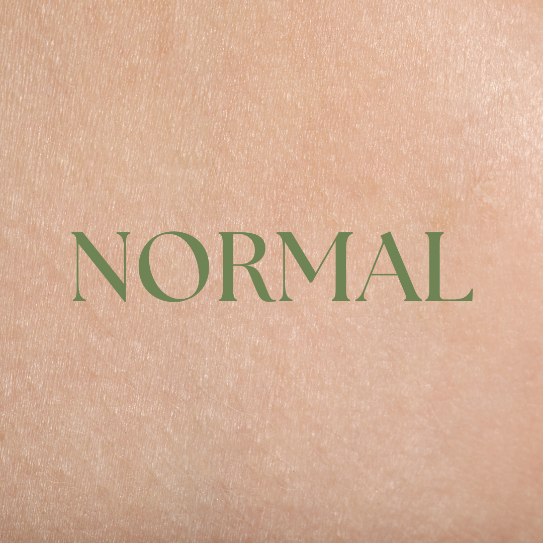 Normal Skin