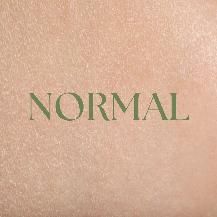 Normal Skin