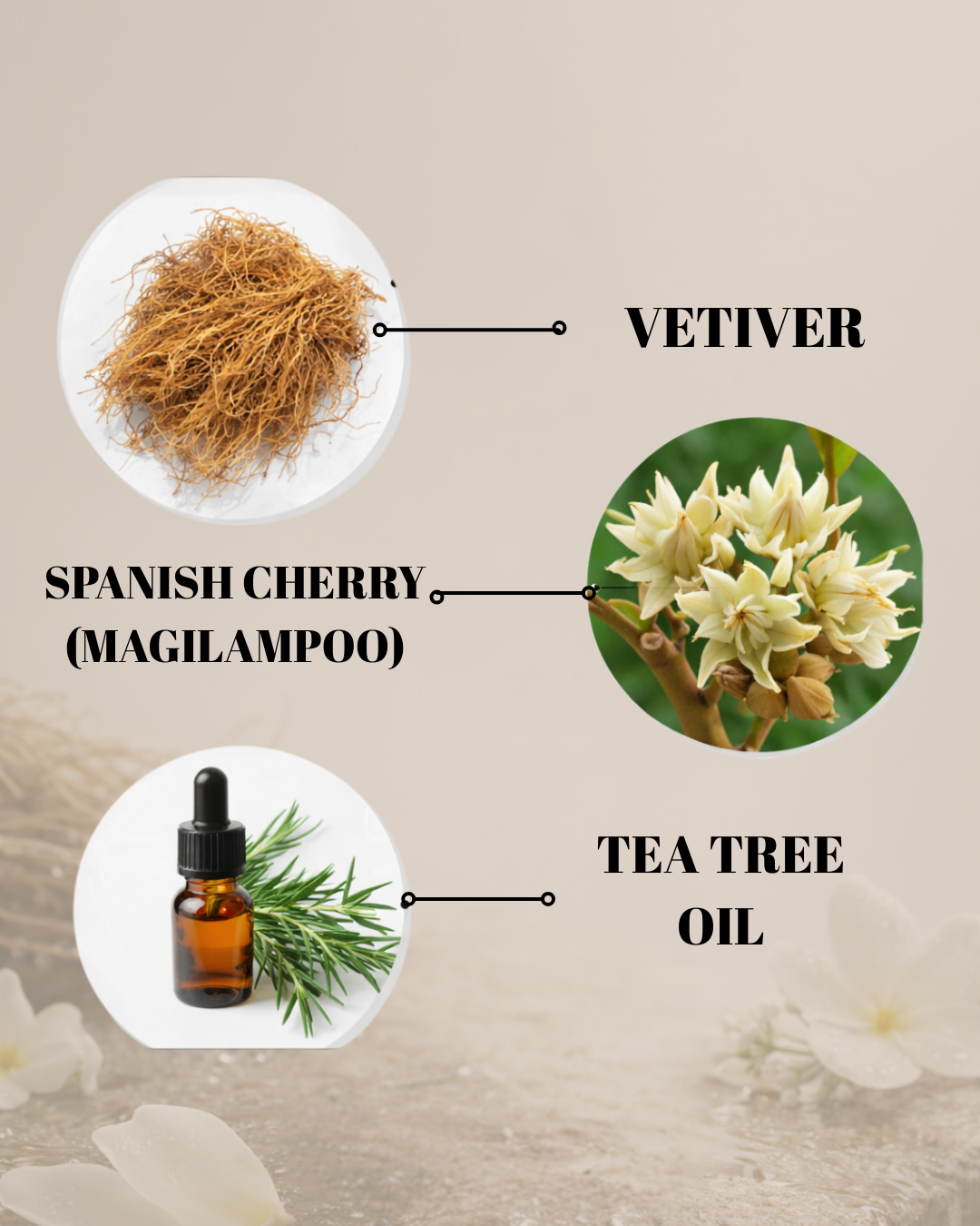 Vetiver Veda Oil Control Cleanser